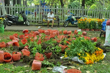 Người buôn hoa quyết đập bỏ chứ không bán tháo