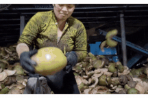 Người phụ nữ lột dừa tươi nhanh như máy, kiếm nửa triệu đồng mỗi ngày