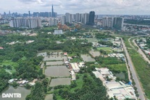 Căn hộ cao cấp áp đảo thị trường, người dân tìm nhà ở đâu?