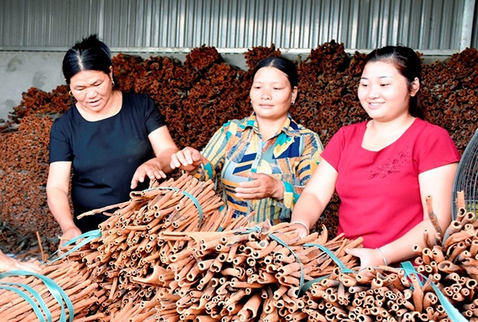 Lào Cai: Hỗ trợ sinh kế cho đồng bào dân tộc thiểu số - Ảnh 1. Lào Cai: Hỗ trợ sinh kế cho đồng bào dân tộc thiểu số - Ảnh 1.