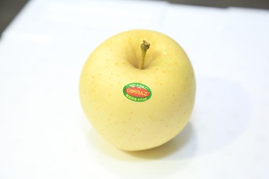 Intimex Việt Nam chính thức mở bán táo Aomori Nhật Bản mùa 2016