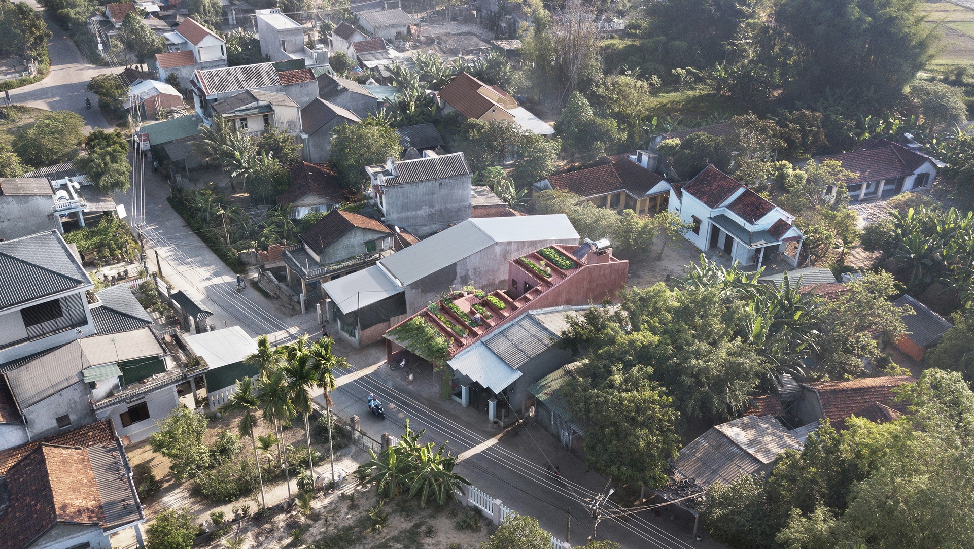 Căn nhà đậm nét làng quê với ruộng bậc thang trên mái ở Quảng Ngãi