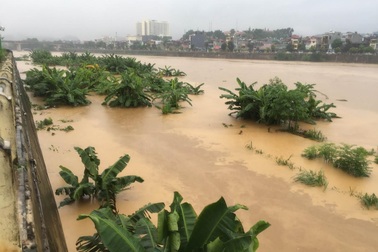 Lũ rất lớn đang xuất hiện trên thượng nguồn sông Hồng