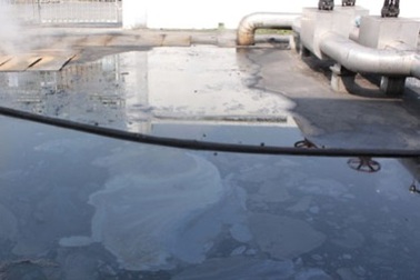 Nhà máy nhiệt điện tuồn trộm chất thải độc hại ra sông Bạch Đằng