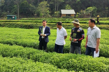 Cao Bằng đẩy mạnh giảm nghèo bền vững từ đa dạng hóa sinh kế