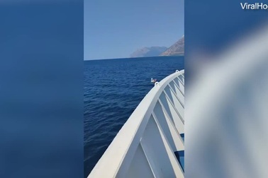 Bé gái 5 tuổi ngồi trên phao bị sóng cuốn trôi ra biển