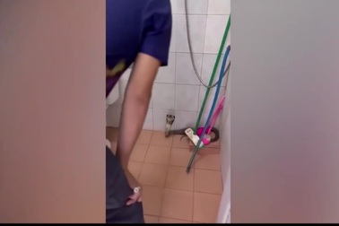 Chuyên gia dễ dàng khống chế rắn hổ mang cực độc bằng tay không