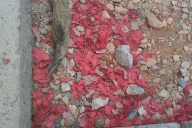 Hưng Yên: Cận cảnh xác pháo đỏ đường ngay sát trụ sở ủy ban xã