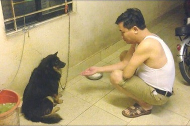 Phì cười nghe dân mạng kể chuyện khi say bố đòi bắt tay với... chó