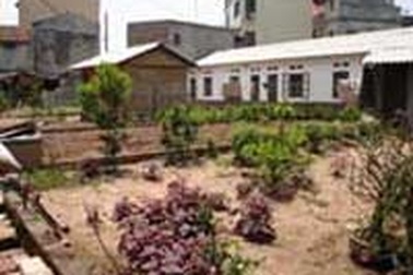 Hà Nội: Mất tích một nghĩa trang cổ 