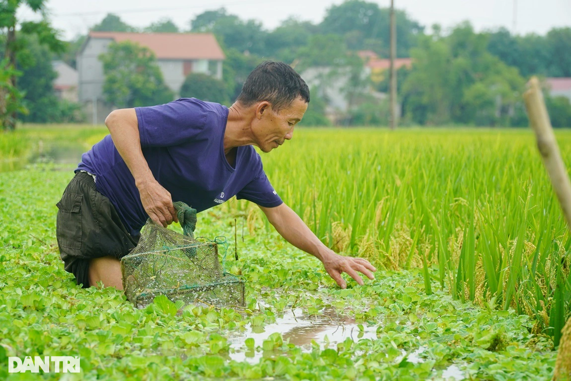 Nghề tranh thủ hốt bạc sau mưa lớn - 9 Nghề tranh thủ hốt bạc sau mưa lớn - 9