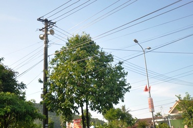 Can nhiễu sóng phát thanh nghi do ảnh hưởng của Trung Quốc