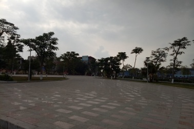 Chủ tịch phường bị kỷ luật vì cho chặt 2 cây quý