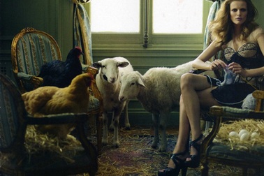 Chùm ảnh thú vị của Edita Vilkeviciute