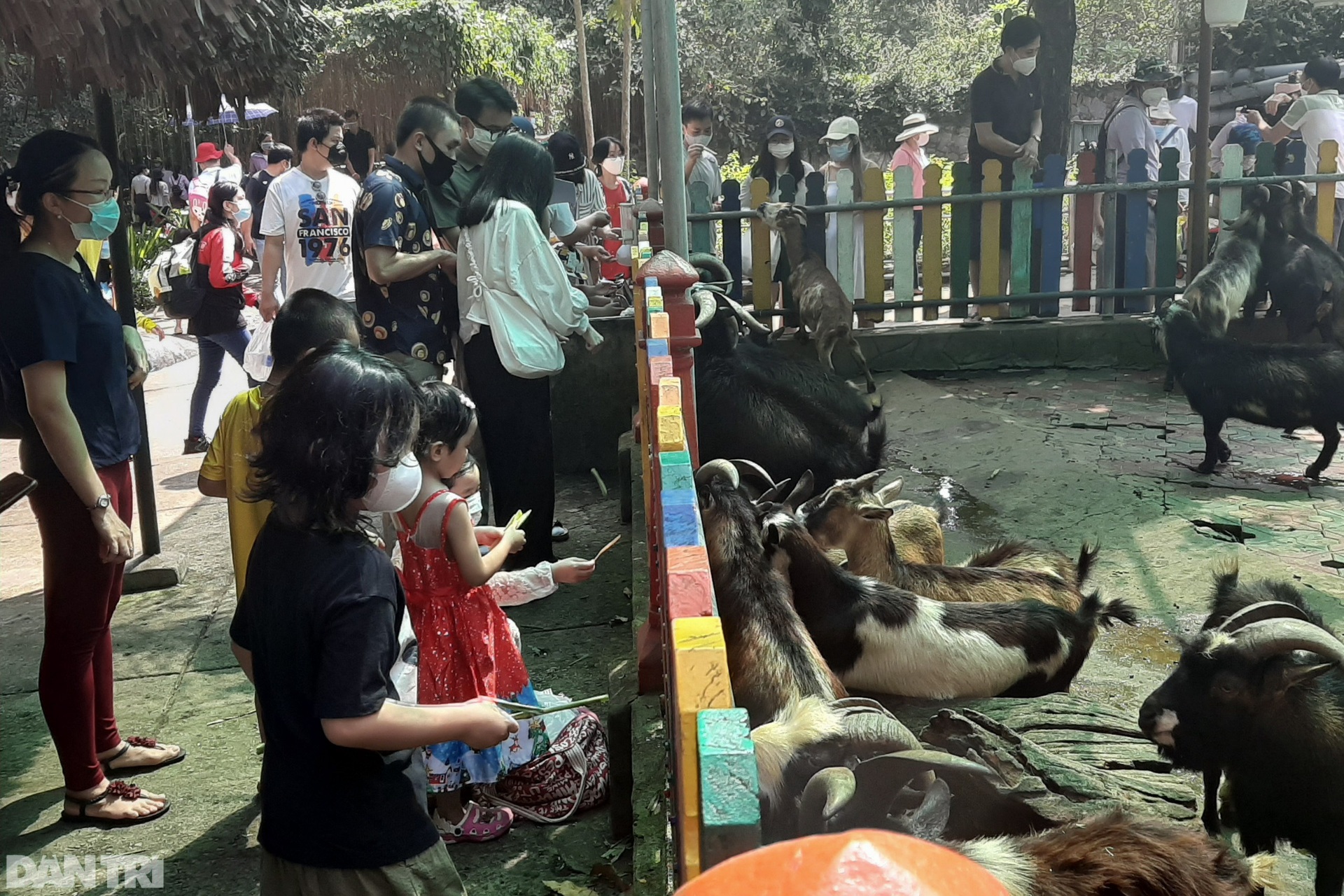 Người dân chen chân tham quan Thảo cầm viên Sài Gòn ngày cuối tuần - 7 Người dân chen chân tham quan Thảo cầm viên Sài Gòn ngày cuối tuần - 7