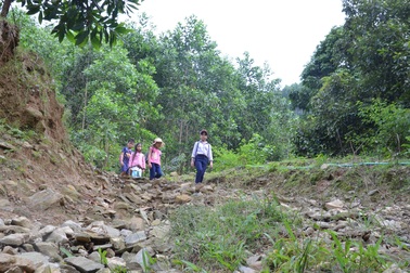 Quảng Ngãi: Không có đường, học sinh mất nửa ngày băng rừng đến trường