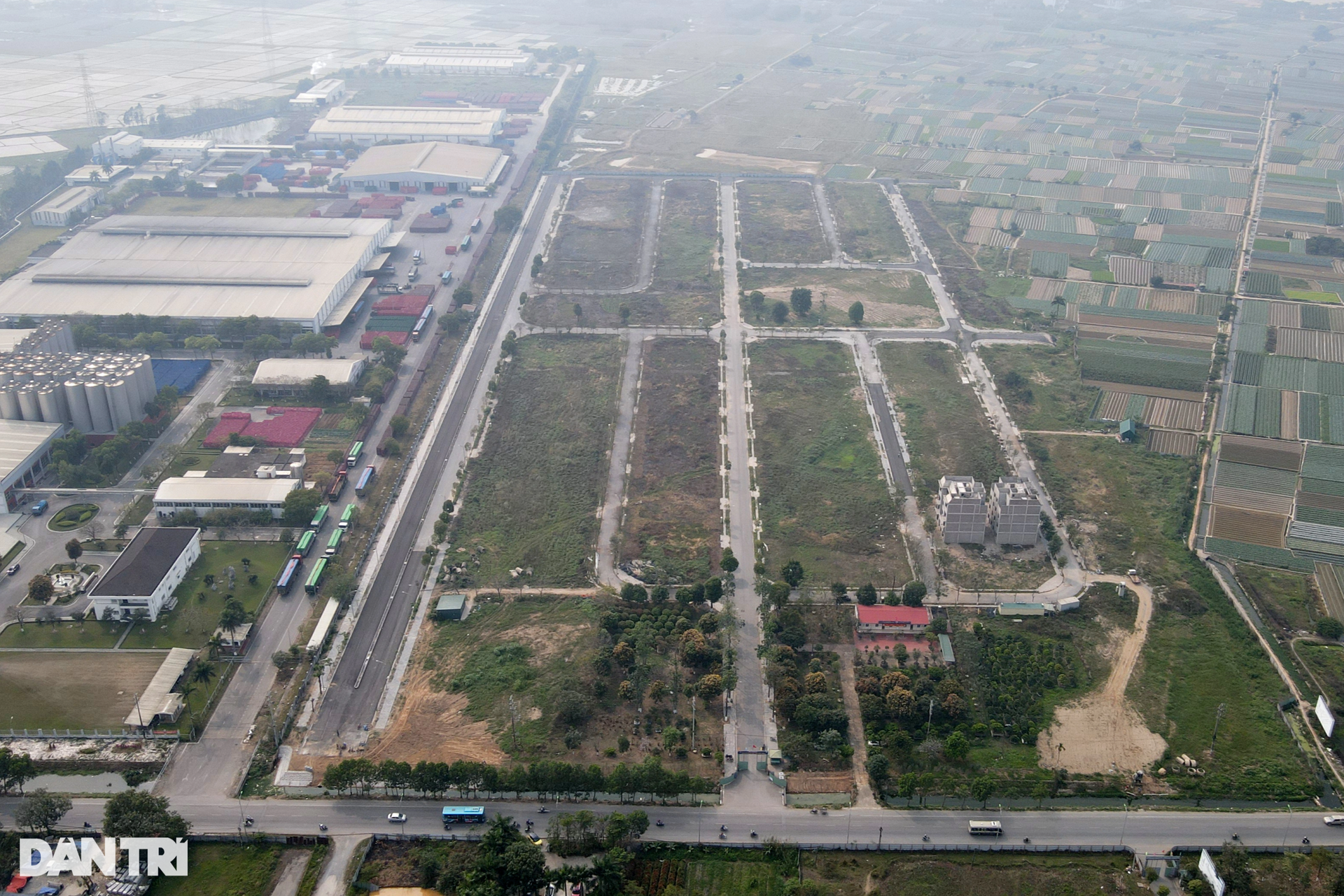 Nhiều khu đô thị đã có cả thập kỷ vẫn để chăn thả bò, trồng cỏ ở Mê Linh - 3 Nhiều khu đô thị đã có cả thập kỷ vẫn để chăn thả bò, trồng cỏ ở Mê Linh - 3