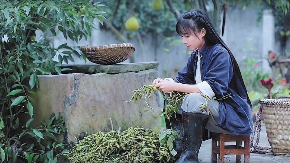 Đề thi gây tranh cãi khi đề cập tới vlogger nổi tiếng Lý Tử Thất - 2 Đề thi gây tranh cãi khi đề cập tới vlogger nổi tiếng Lý Tử Thất - 2