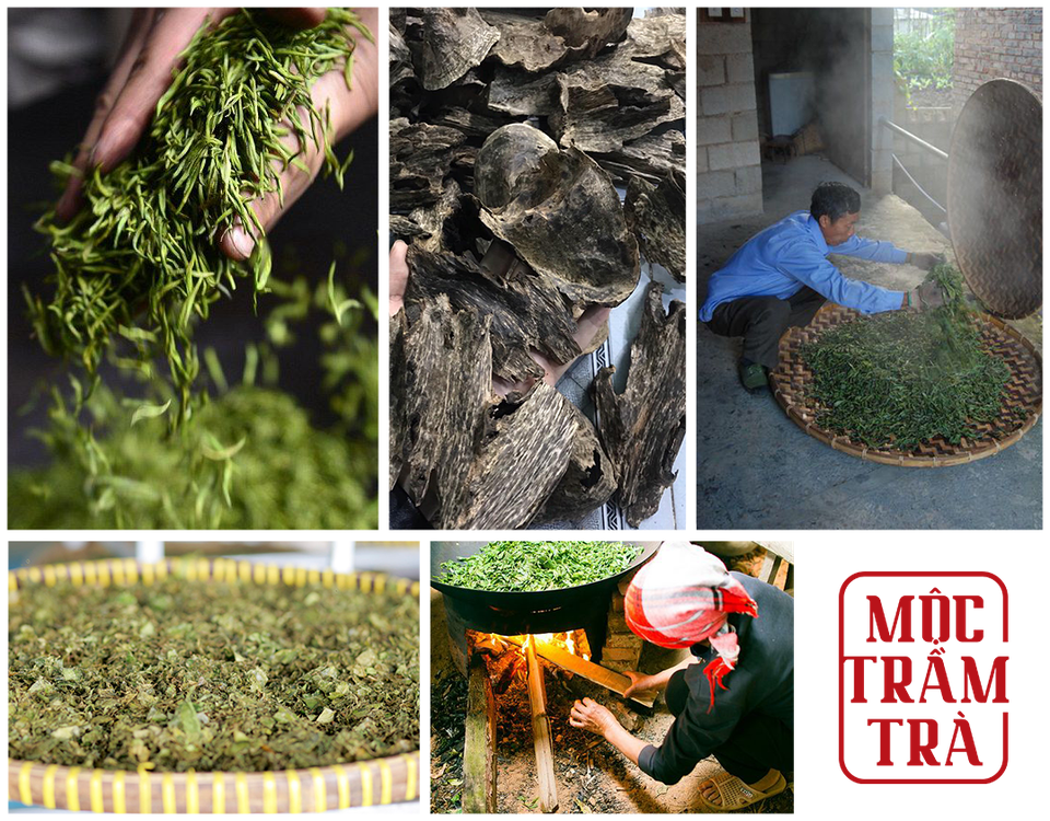 “Mộc Trầm Trà” – Tái hiện công thức bí truyền Trà Trầm Hương cổ xưa - 3 “Mộc Trầm Trà” – Tái hiện công thức bí truyền Trà Trầm Hương cổ xưa - 3
