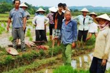 Chính quyền xã dẫn người đi phá mạ của dân?