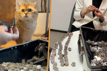 Nhân viên chung cư bị khách trả thù, bắt đếm 3.000 đồng xu suốt 3 tiếng