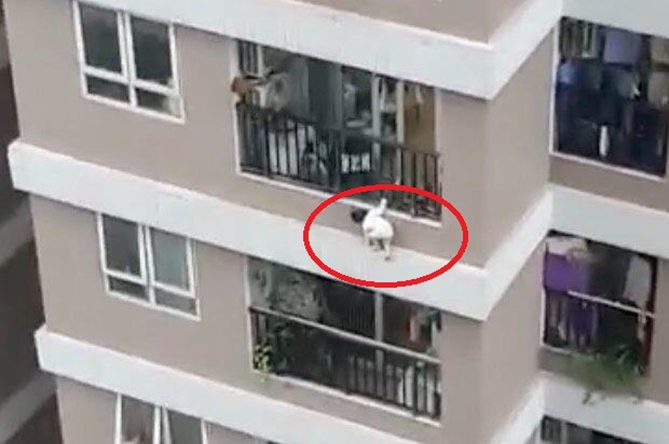 Vụ bé gái rơi từ tầng 12A: Hồi chuông cảnh tỉnh cho các bậc cha mẹ - 1 Vụ bé gái rơi từ tầng 12A: Hồi chuông cảnh tỉnh cho các bậc cha mẹ - 1