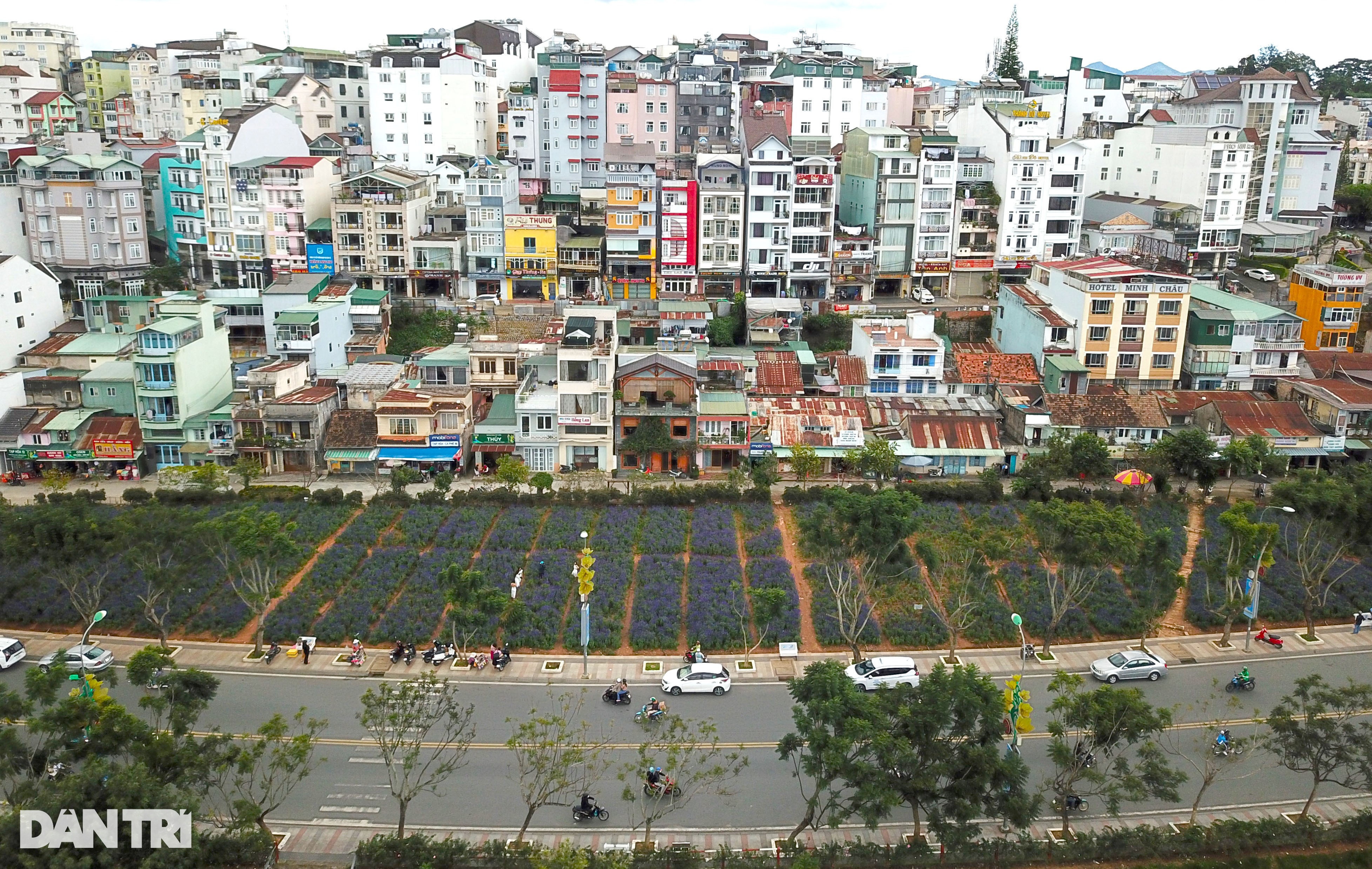 Cuộc sống khốn khó của người dân kẹt trong dự án 50 triệu USD ở Đà Lạt - 12 Cuộc sống khốn khó của người dân kẹt trong dự án 50 triệu USD ở Đà Lạt - 12