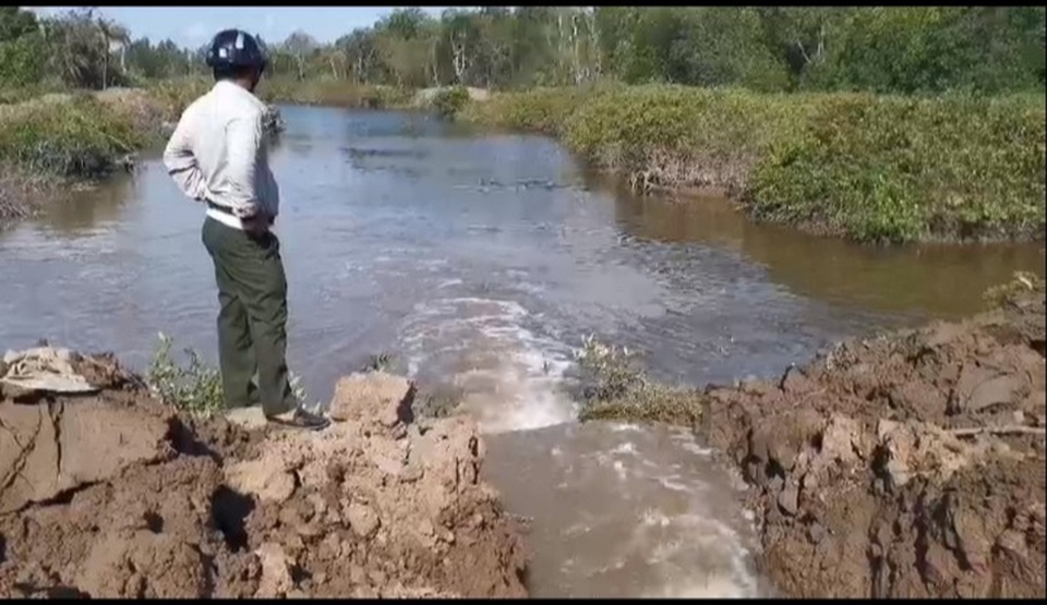 Rừng phòng hộ ven biển Sóc Trăng “kêu cứu” - 4 Rừng phòng hộ ven biển Sóc Trăng “kêu cứu” - 4