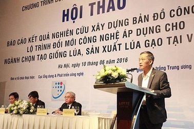 Đổi mới công nghệ đưa Việt Nam đứng top 3 các nước xuất khẩu gạo