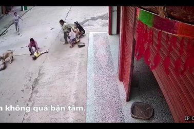 Chó nhà can thiệp kịp thời cứu em bé khỏi bị chó lạ tấn công