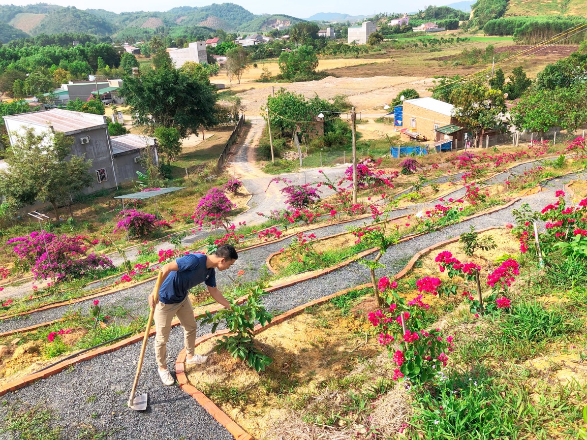 Vợ chồng biến 5500 m2 đất cằn thành khu đồi hoa giấy đẹp như mơ ở Lâm Đồng - 4 Vợ chồng biến 5500 m2 đất cằn thành khu đồi hoa giấy đẹp như mơ ở Lâm Đồng - 4