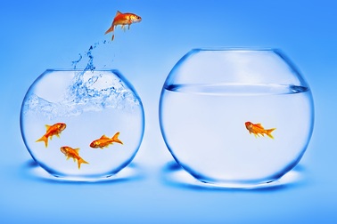 Đến năm 2020 sẽ có khoảng 70.000 cử nhân sư phạm thất nghiệp