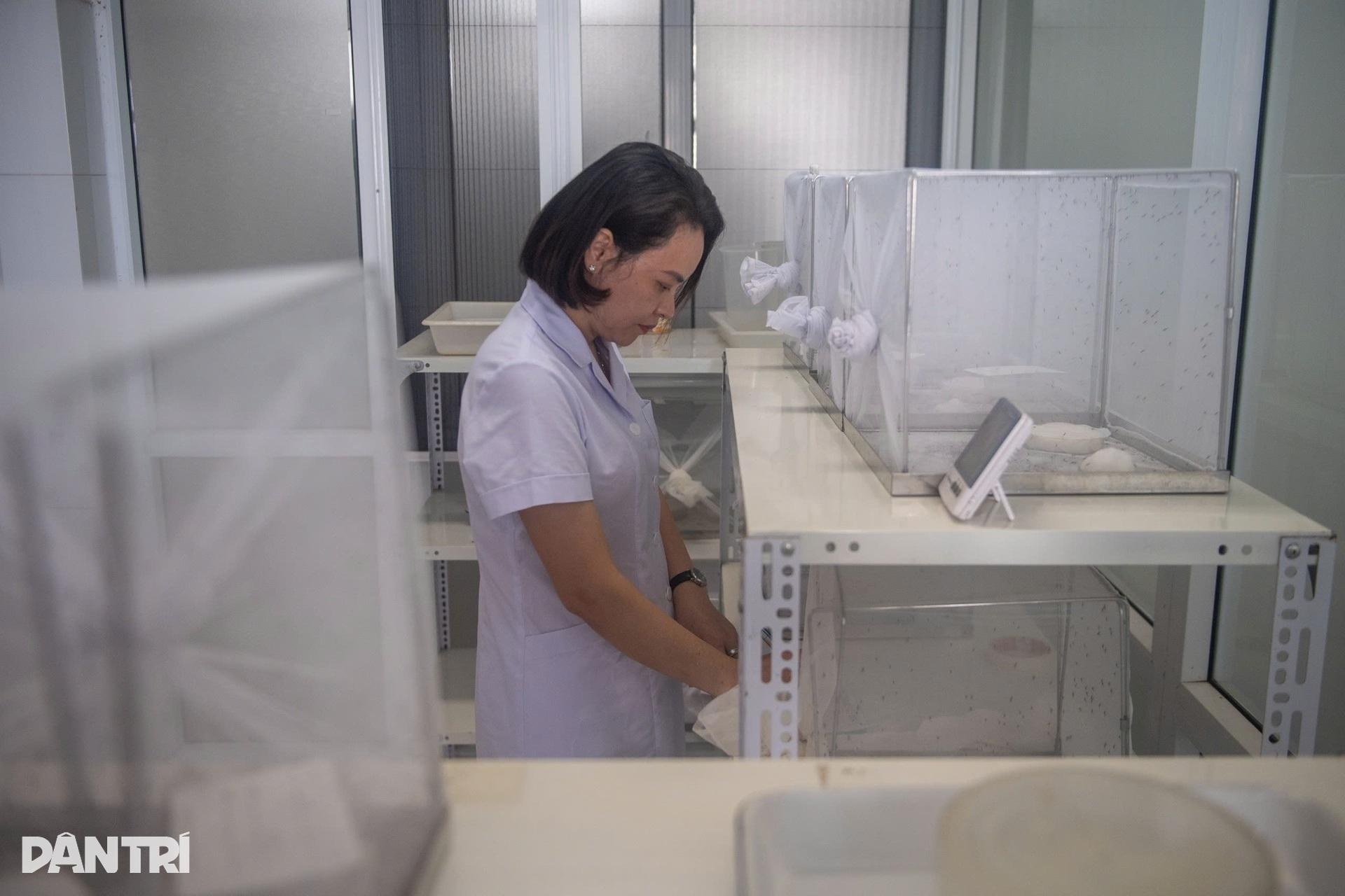 ហាណូយ៖ ចូលដល់កន្លែងចិញ្ចឹមមូសរាប់ពាន់ដើម្បីរកអាវុធការពារជំងឺគ្រុនឈាម - 11 Hà Nội: Vào nơi nuôi hàng nghìn con muỗi tìm vũ khí chặn sốt xuất huyết - 11