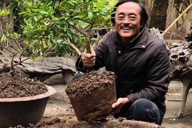 Tình hình sức khỏe của các nghệ sĩ tiếp tục thu hút sự quan tâm