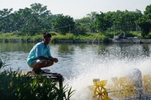 "Ngã rẽ" nghề nghiệp thú vị sau chuyến thăm quê của chàng kỹ sư cơ khí