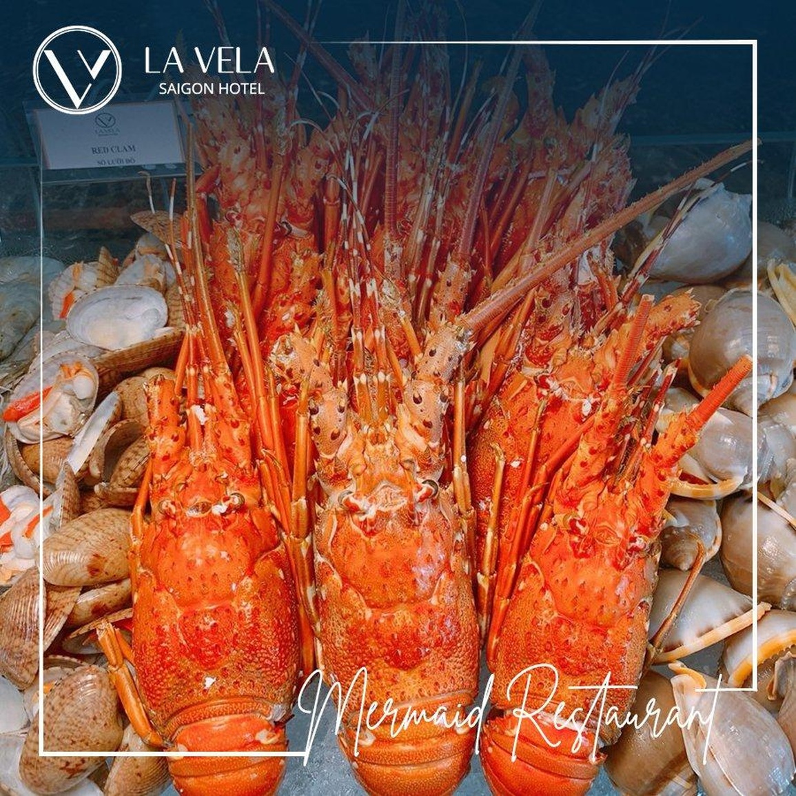 Đón hè trên cao - trải nghiệm vị biển mới mẻ - 5