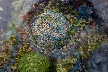 Các đại dương bị axit hoá nhanh chưa từng có