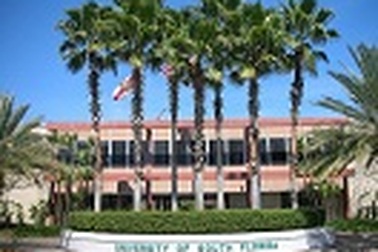 Học đại học và sau đại học tại Mỹ