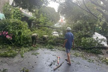 Mưa lớn gây ngã đổ 62 cây xanh, 2 người bị thương tại một phường ở TPHCM