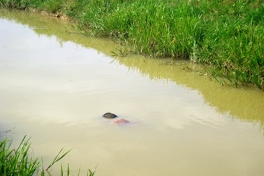 Đi đơm cá ban đêm bị sẩy chân chết đuối