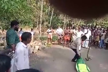 Vava Suresh bị rắn hổ mang chúa cắn vào chân khi đang nhốt con vật vào bao