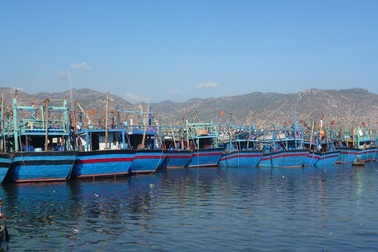 Tập đoàn Hoa Sen được làm cảng trước khi làm thép tại Cà Ná