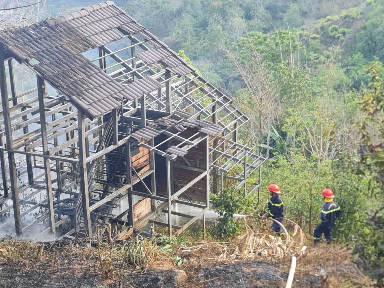 Đốt cỏ làm cháy homestay ở Đà Lạt - 1