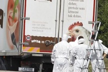 Phát hiện đường dây buôn người từ vụ xe tải nêm chật xác người tị nạn ở Áo