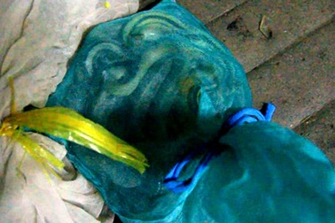 Giải cứu gần 500 động vật hoang dã quý hiếm “suýt” bị đưa lên bàn nhậu