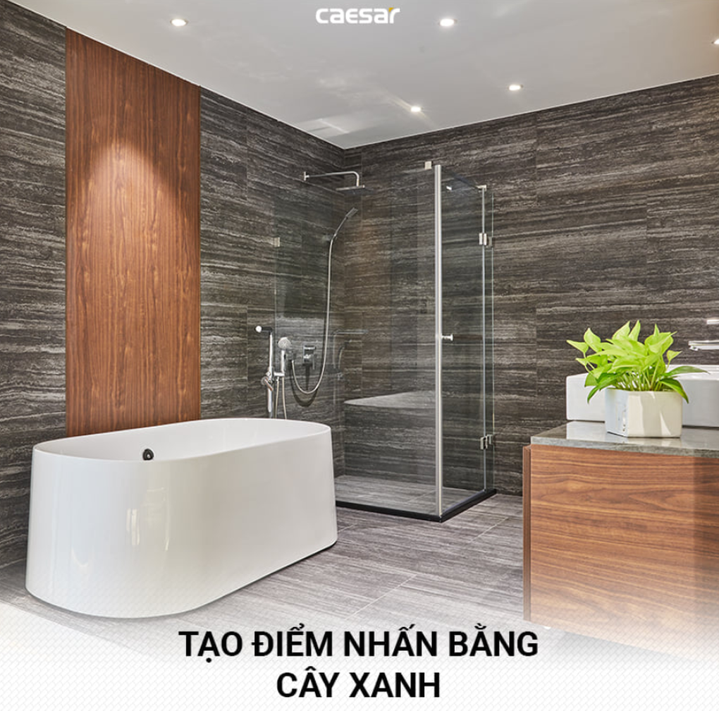 Thiết bị vệ sinh Caesar giúp không gian phòng tắm tiện ích, sang trọng - 2 Thiết bị vệ sinh Caesar giúp không gian phòng tắm tiện ích, sang trọng - 2