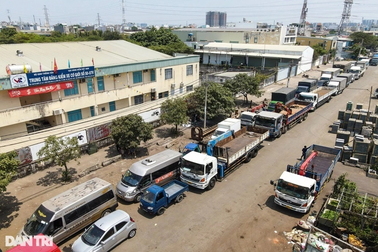 Không thể đăng kiểm ô tô ở gara "cỏ"