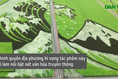Chiêm ngưỡng kiệt tác nghệ thuật trên cánh đồng lúa mênh mông