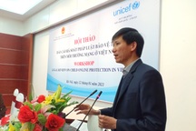 Báo cáo rà soát pháp luật về bảo vệ trẻ em trên môi trường mạng