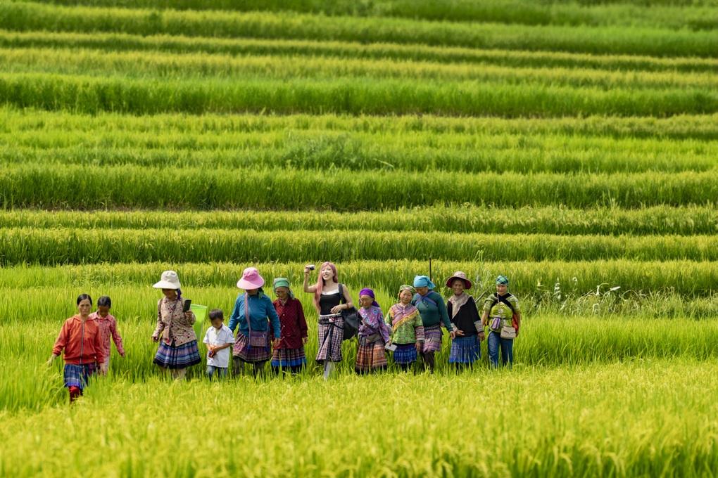 Trang Pháp hé lộ hậu trường ca khúc gây chú ý tại hòa nhạc 25.000 khán giả - 2 Trang Pháp hé lộ hậu trường ca khúc gây chú ý tại hòa nhạc 25.000 khán giả - 2
